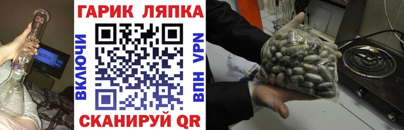 ГАШ VHQ Лесной