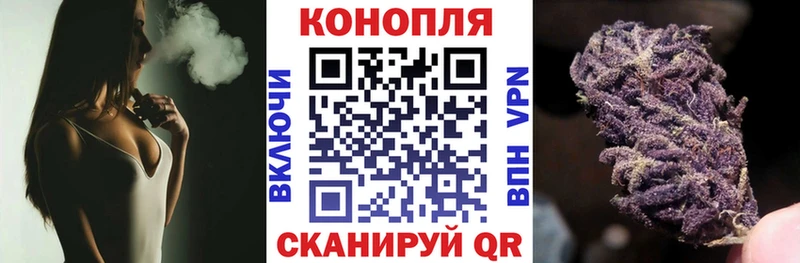 Канабис сатива  Лесной 